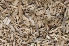 biomass boilers Kildonan